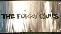 Furry Guys Pet Care