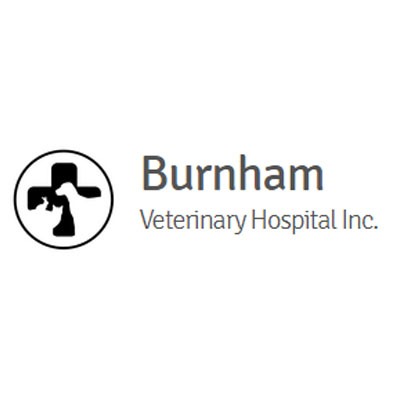 Burnham Veterinary Hospital Inc 5758 TX-67, Graham Texas 76450
