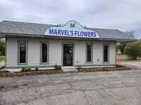 Marvel's Flowers & Flower Delivery