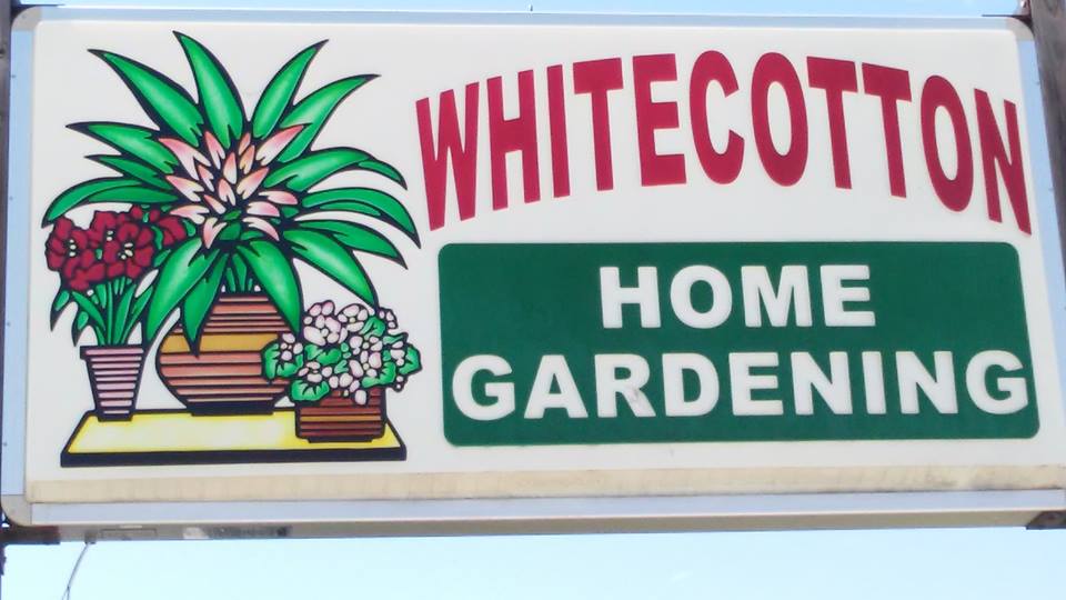 Whitecotton Greenhouse 13052 TX-59 N, Montague Texas 76251