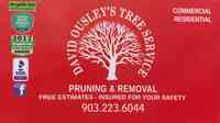 David Ousley's Tree Services