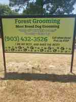 Forest Grooming