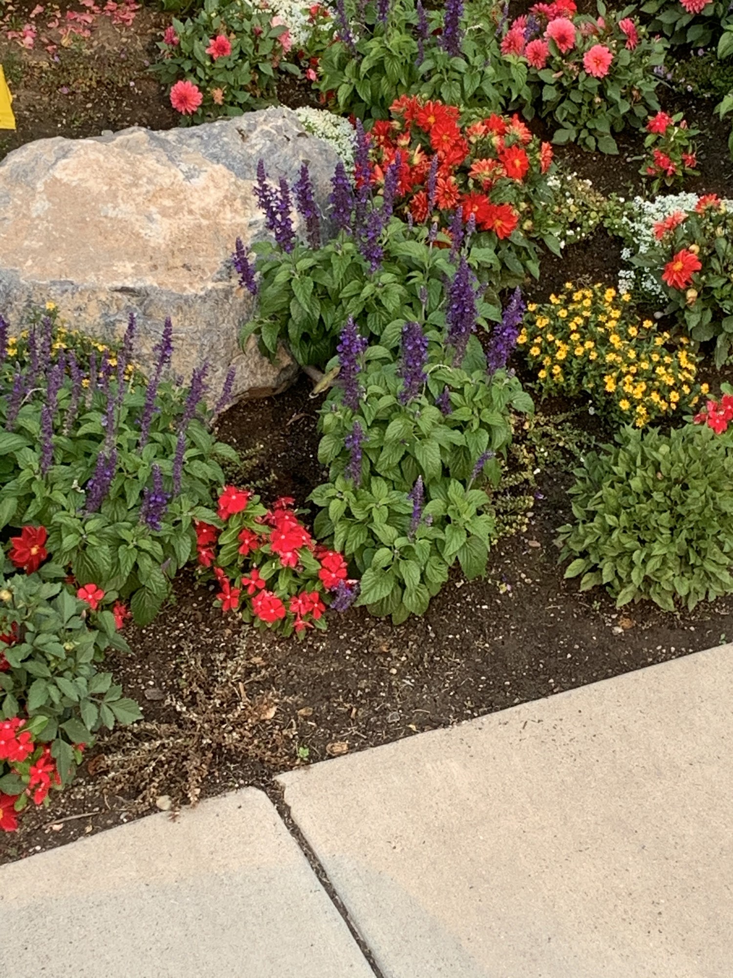 Triple-A Landscaping