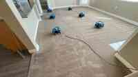 Pristine Carpet Cleaning & Home Services LLC