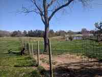 Liberty Hill Pet Resort