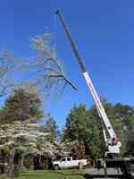 Nigel wood tree service, llc