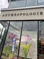 Anthropologie