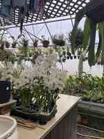 Floradise Orchids