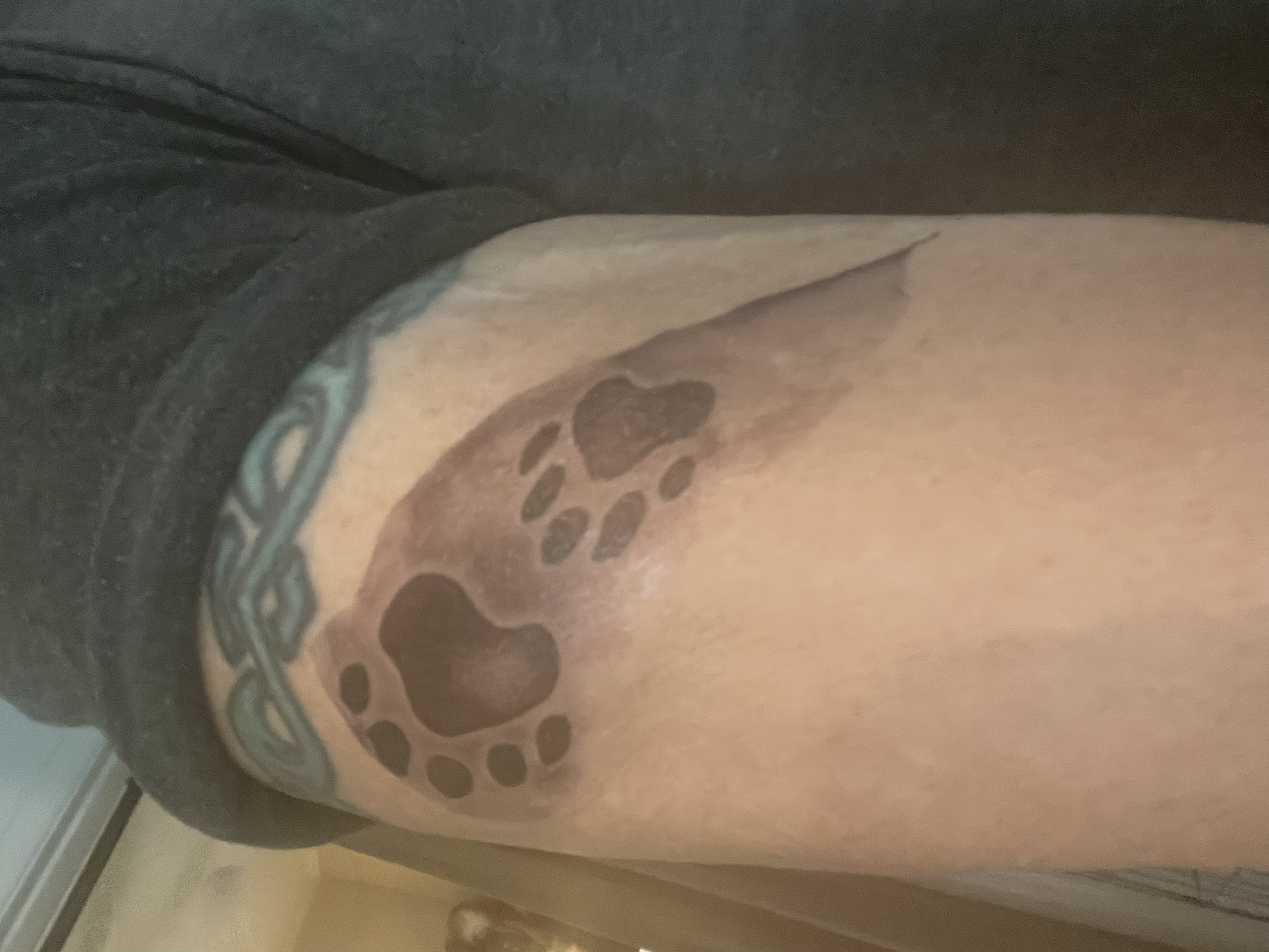 Photo credit: bestprosintown