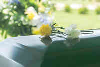 Hanson Walbridge & Shea Funeral & Cremation Services