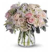 Williams Flower & Gift - Auburn Florist