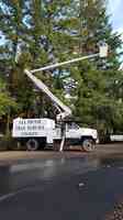 All Phase Tree Service Inc