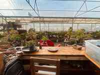 Greenhouse Florist & Nursery