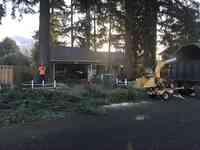 All Orting Tree Service Experts