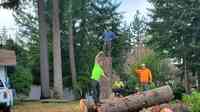 Olympic View Tree Service