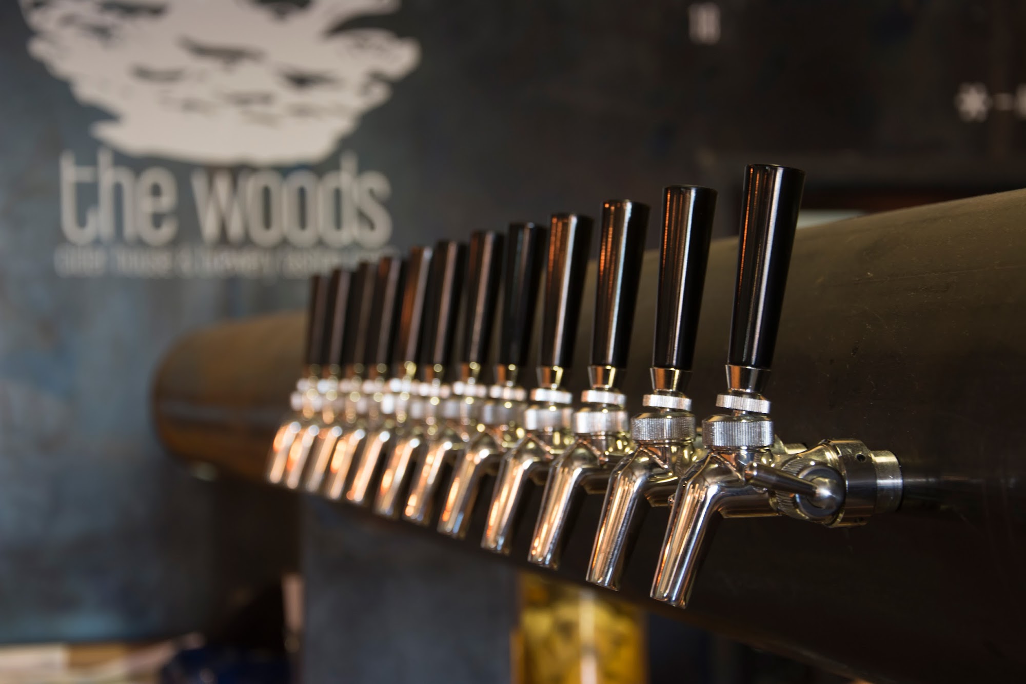 Two Beers Brewing Co., Seattle Menu, Reviews (28), Photos (31