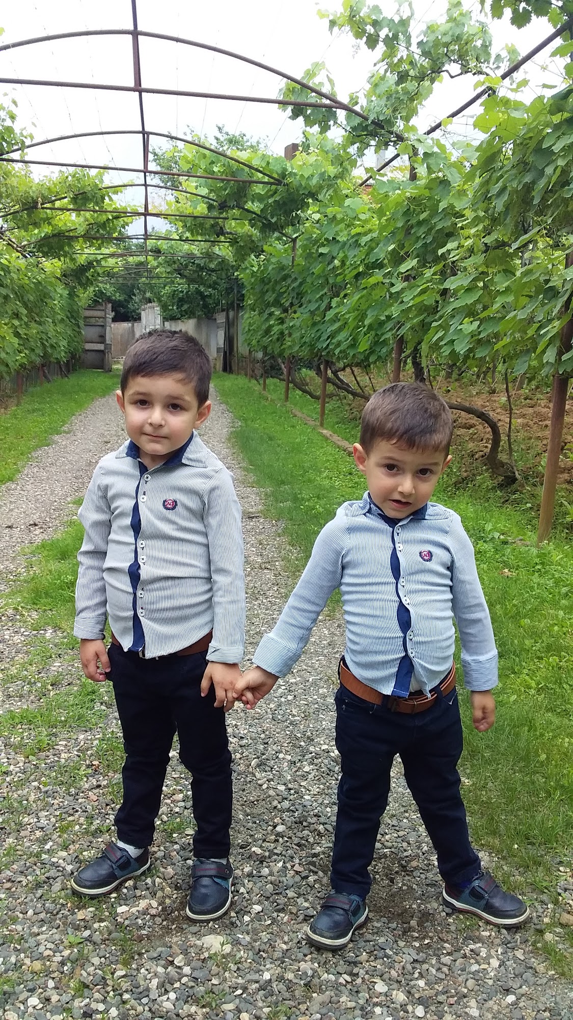 Coffee Lavazza Distribution