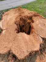 Nash Tree Removal & Stump Grinding, LLC