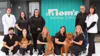 Dr Mom's Animal Clinic