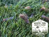 White Tail Lawn and Plow LLC