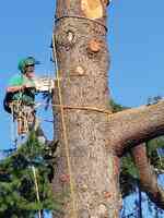 Canzler Tree Service