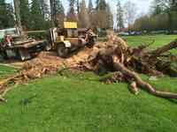 Krieger's Stump Removal Inc