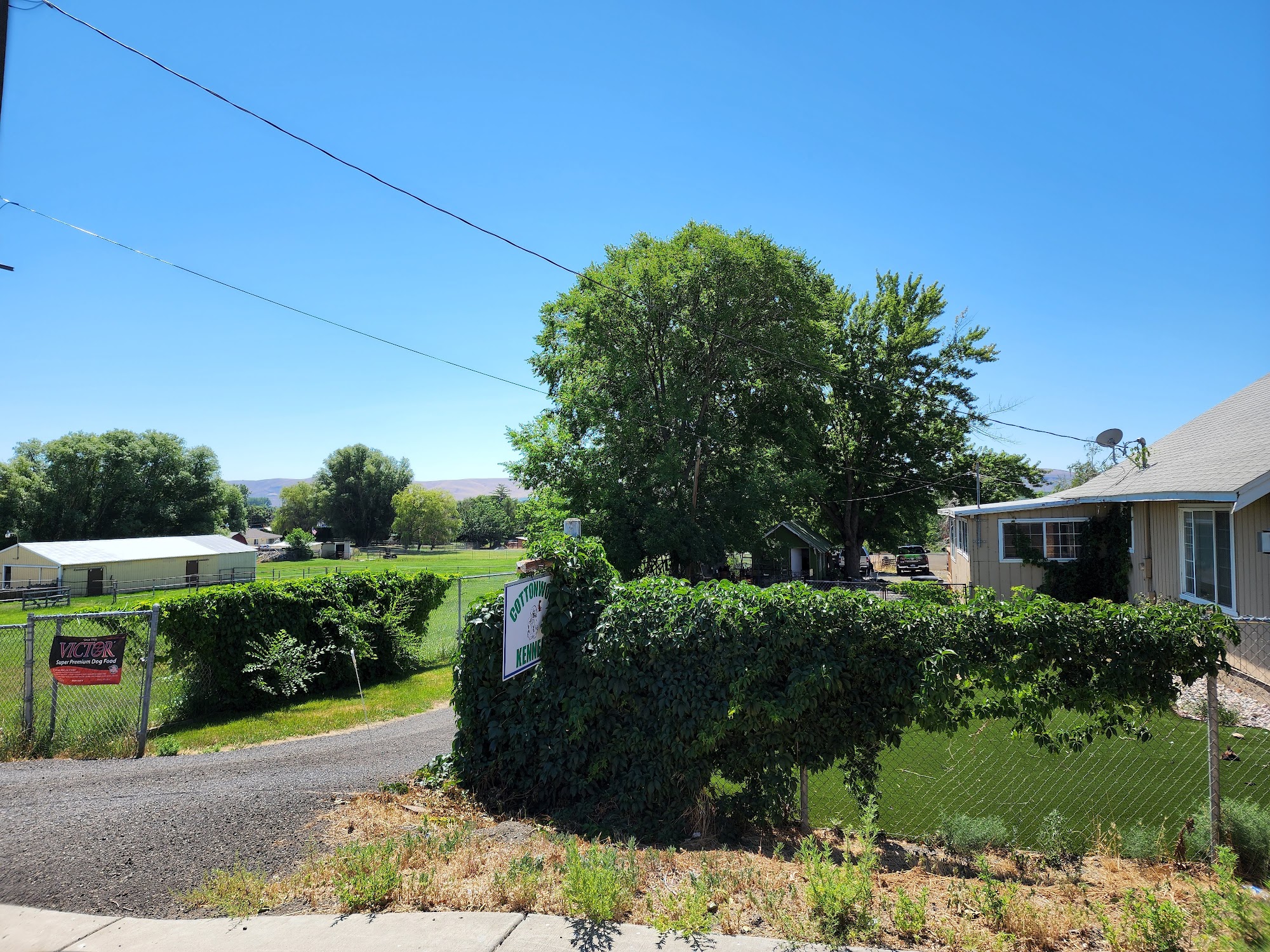 Cottonwood Kennels Yakima