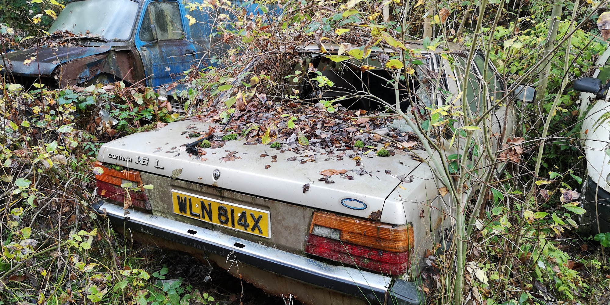 Dingle Hall Garage