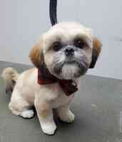 Shear Magic Pet Salon