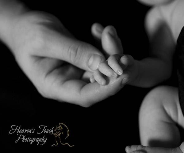 Heaven's Touch Photography