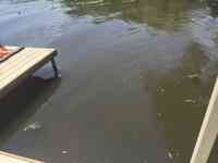 Eco Waterway Services Llc