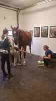 Great Lakes Equine Wellness Center,