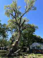 Dennis & Son Tree Service