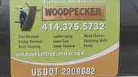 woodpecker tree services