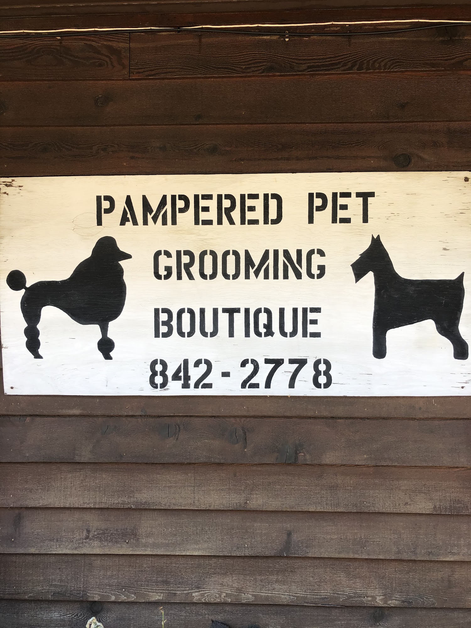 Pampered Pet Grooming Boutique Bridgeport