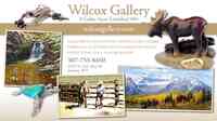 Wilcox Gallery